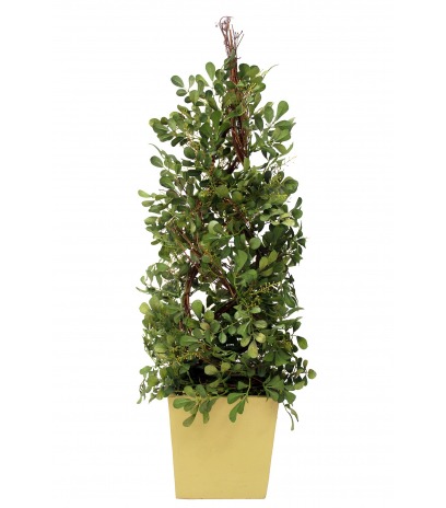 Buis artificiel torsadé