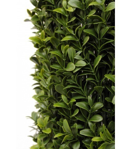 Hais de buis artificielle courte