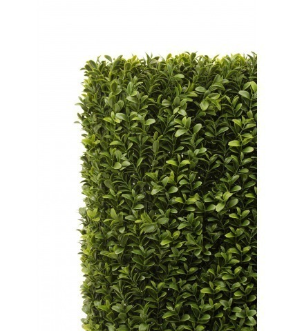 Hais de buis artificielle courte