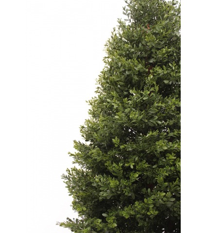 Buis d'Égypte artificiel