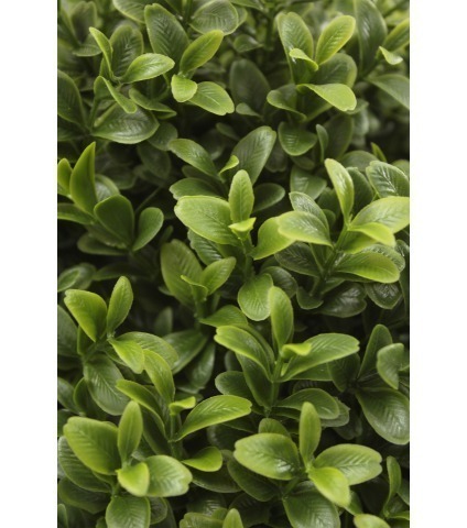 Grande boule de buis toscane artificielle