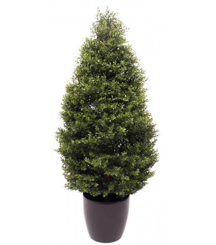 Buis d'Égypte artificiel