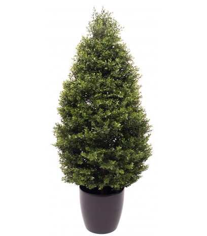 Buis d'Égypte artificiel