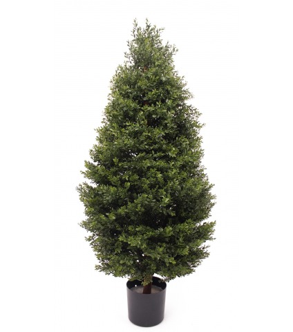 Buis d'Égypte artificiel