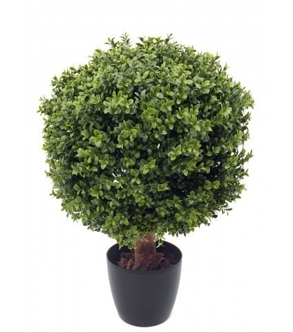 Grande boule de buis toscane