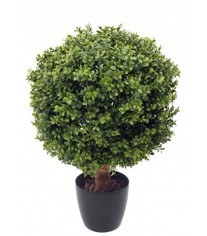 Grande boule de buis toscane