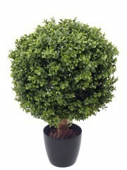 Grande boule de buis toscane