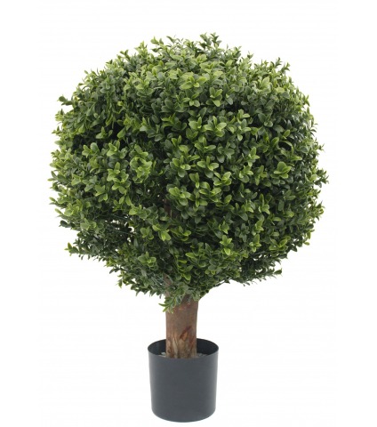 Grande boule de buis toscane