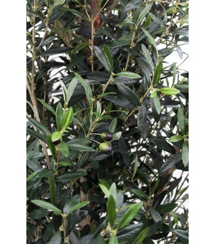 Olivier artificiel de Sicile