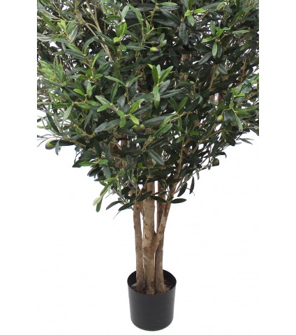 Olivier artificiel de Sicile