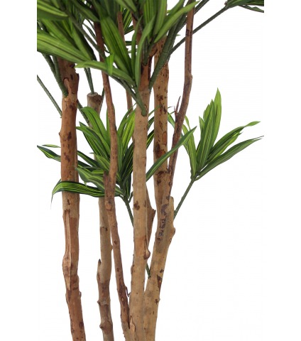 Dracaena artificiel de Jiangxi