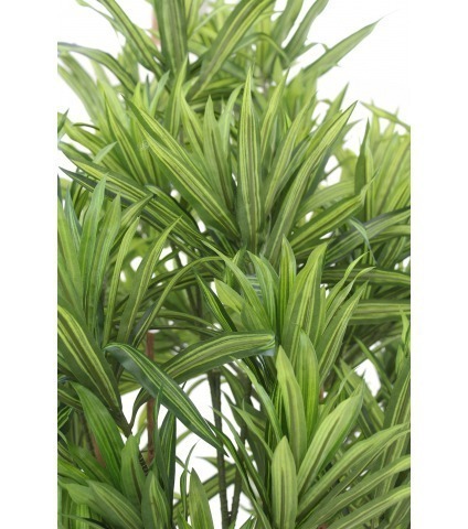 Dracaena artificiel de Jiangxi