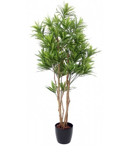 Dracaena artificiel de Jiangxi