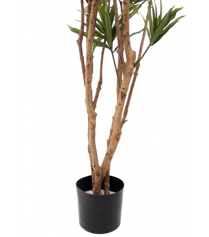 Dracaena artificiel de Jiangxi