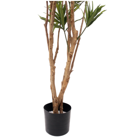 Dracaena artificiel de Jiangxi