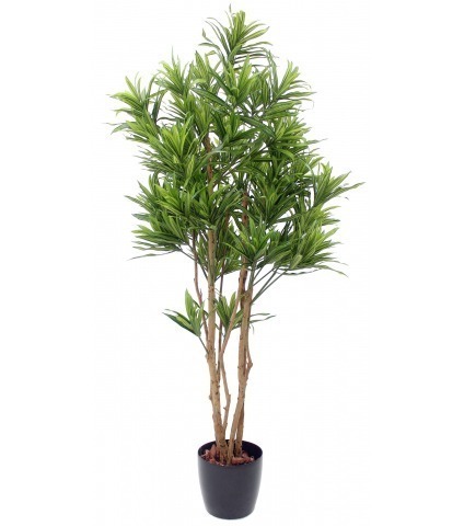 Dracaena artificiel de Jiangxi