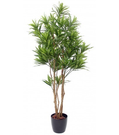 Dracaena artificiel de Jiangxi