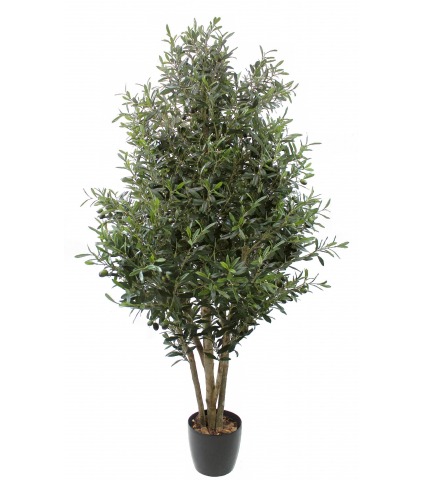 Olivier artificiel de Sicile