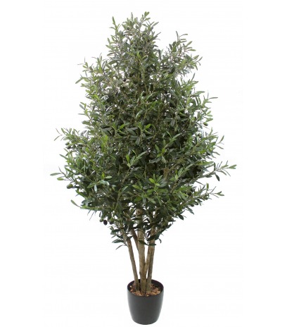 Olivier artificiel de Sicile