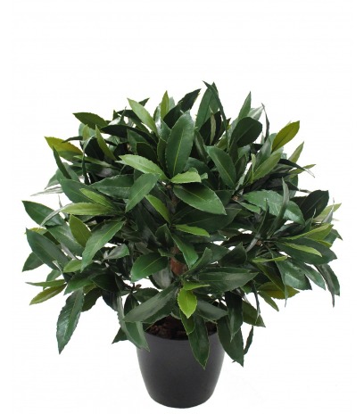 Laurier noble artificiel