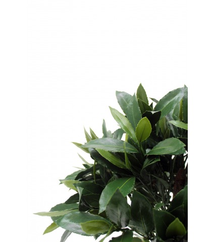 Laurier noble artificiel