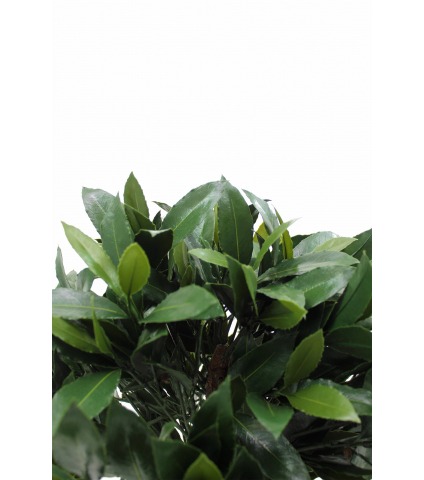 Laurier noble artificiel