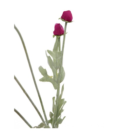 Cosmos rose artificiel