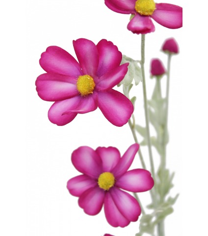Cosmos rose artificiel