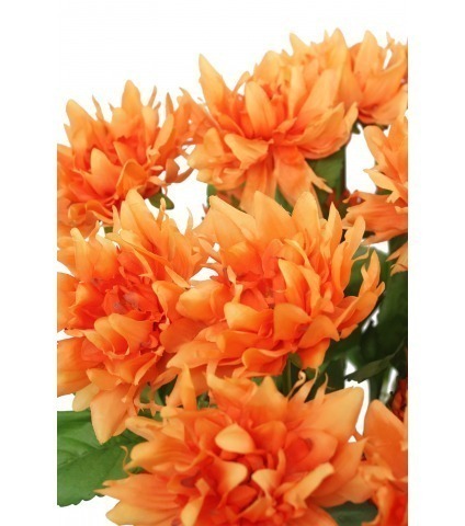 Dahlia orange artificiel