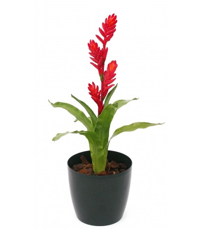 Bromélia artificiel