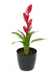 Bromélia artificiel