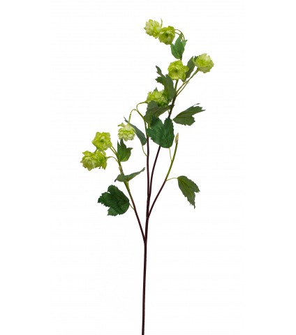 Branche de houblon artificielle