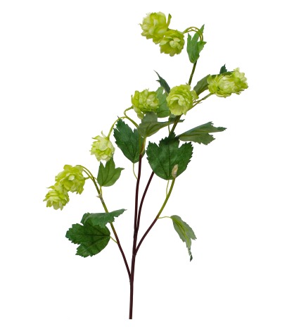 Branche de houblon artificielle