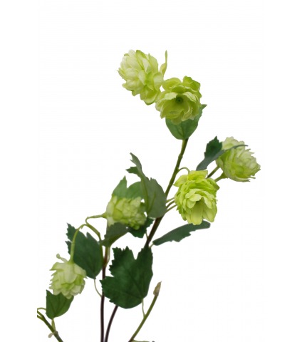 Branche de houblon artificielle