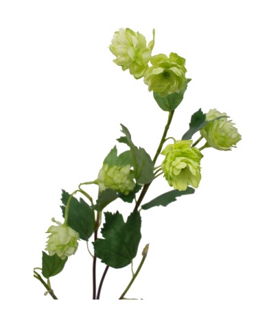 Branche de houblon artificielle