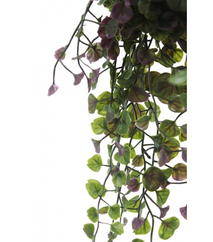 Chute de dichondra artificiel vert et mauve