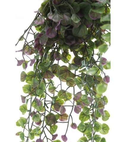 Chute de dichondra artificiel vert et mauve