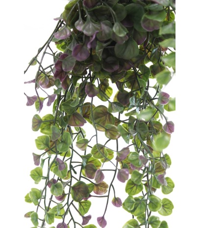Chute de dichondra artificiel vert et mauve