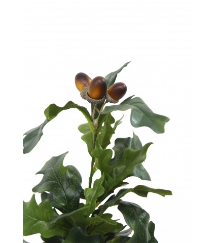 Fausse feuille de chêne et ses glands