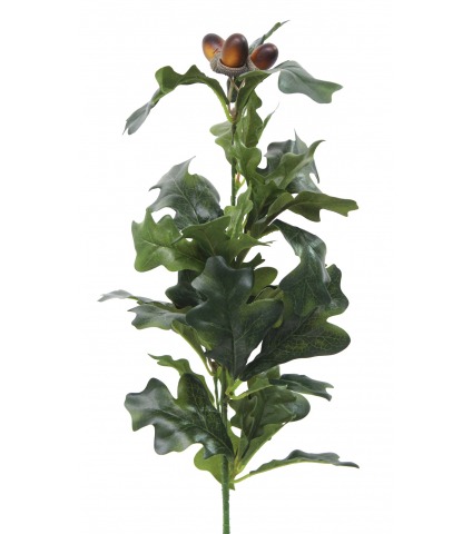 Fausse feuille de chêne et ses glands