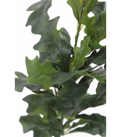 Fausse feuille de chêne et ses glands