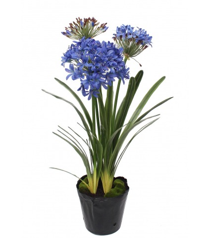 Agapanthe artificielle bleue en motte