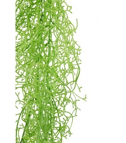 Tillandsia vert clair artificiel