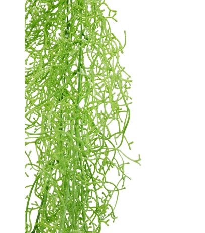 Tillandsia vert clair artificiel