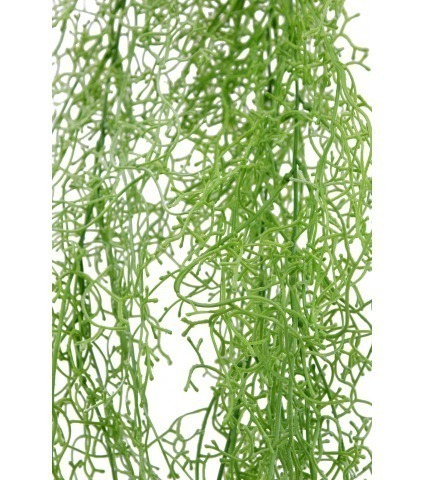 Tillandsia vert clair artificiel