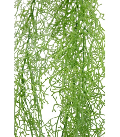 Tillandsia vert clair artificiel