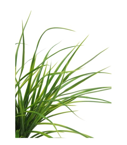 Herbe jonc artificielle
