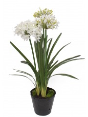 Agapanthe artificielle blanche en motte