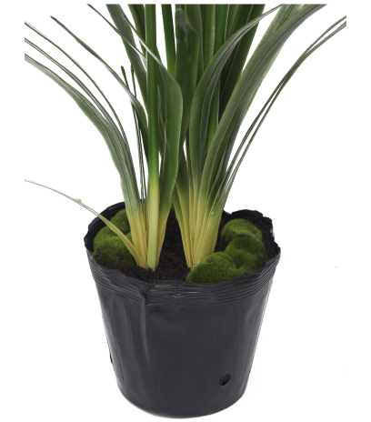 Agapanthe artificielle blanche en motte