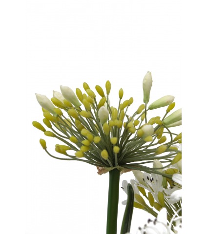 Agapanthe artificielle blanche en motte